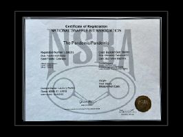 Pandemic NSBA Registration.jpg